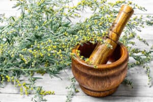 Read more about the article Wermut —Artemisia absinthium